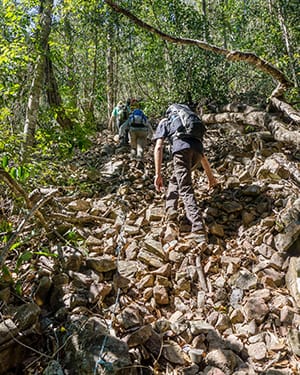 Parts of the Mt Halifax track have a loose surface