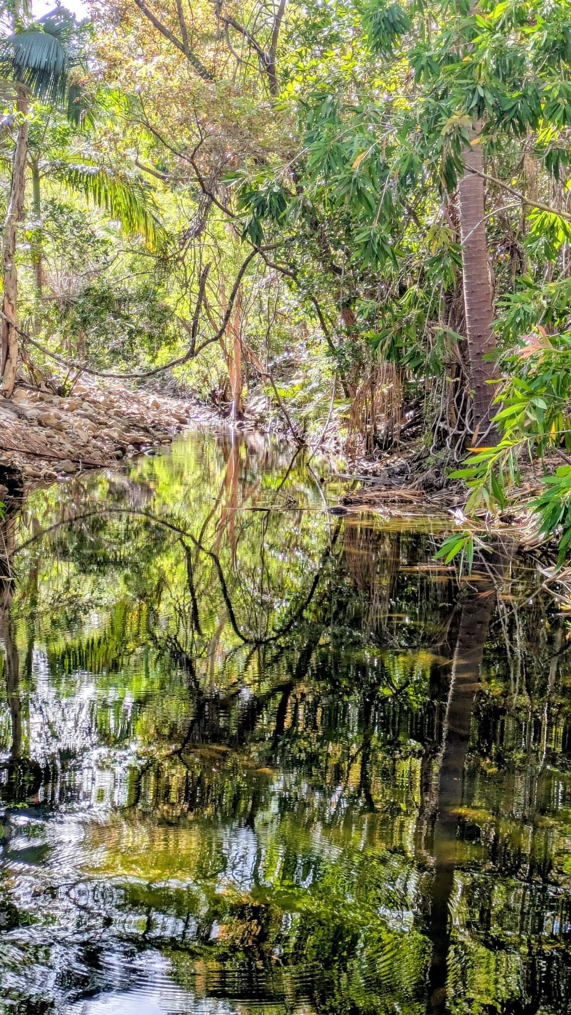 Alligator Creek Falls - Trip Report