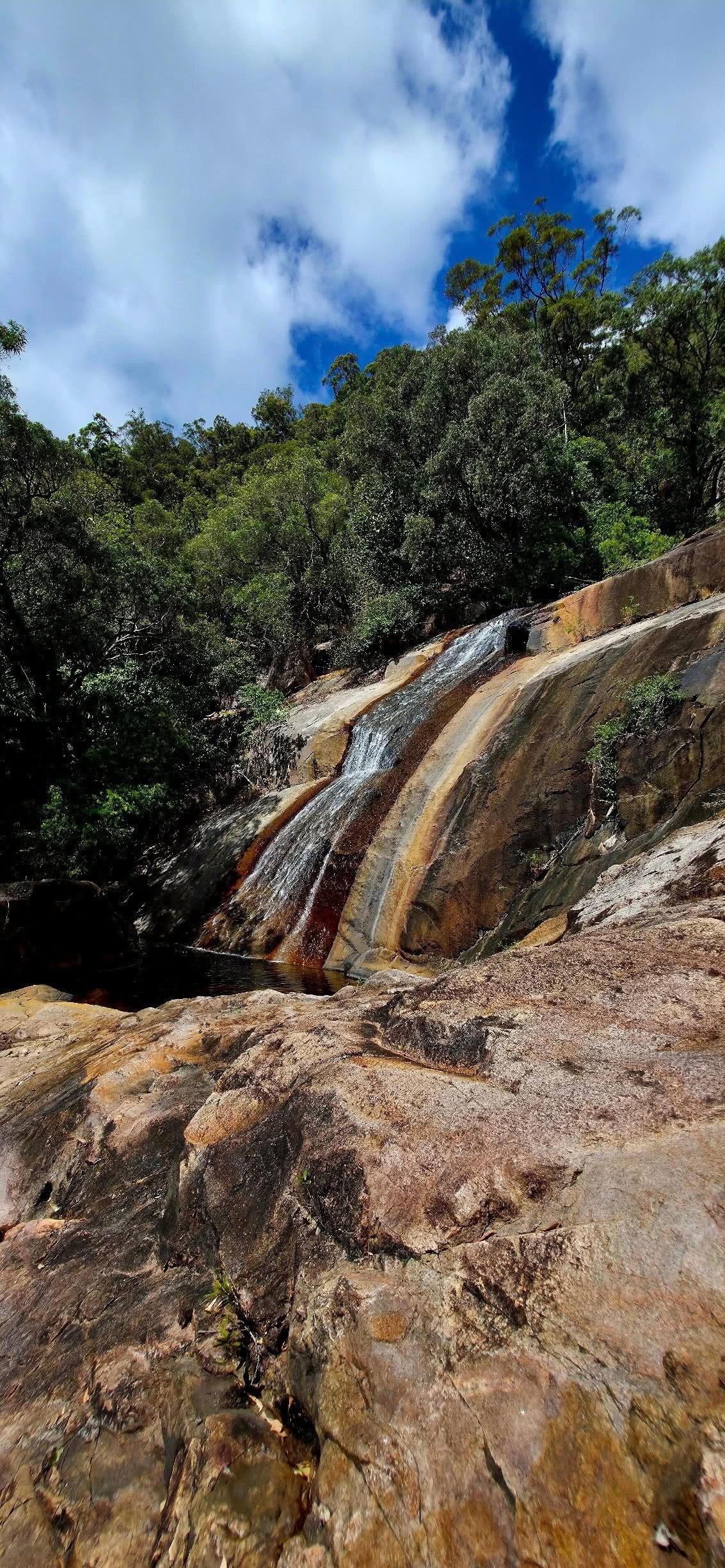 Alligator Creek Falls - Trip Report