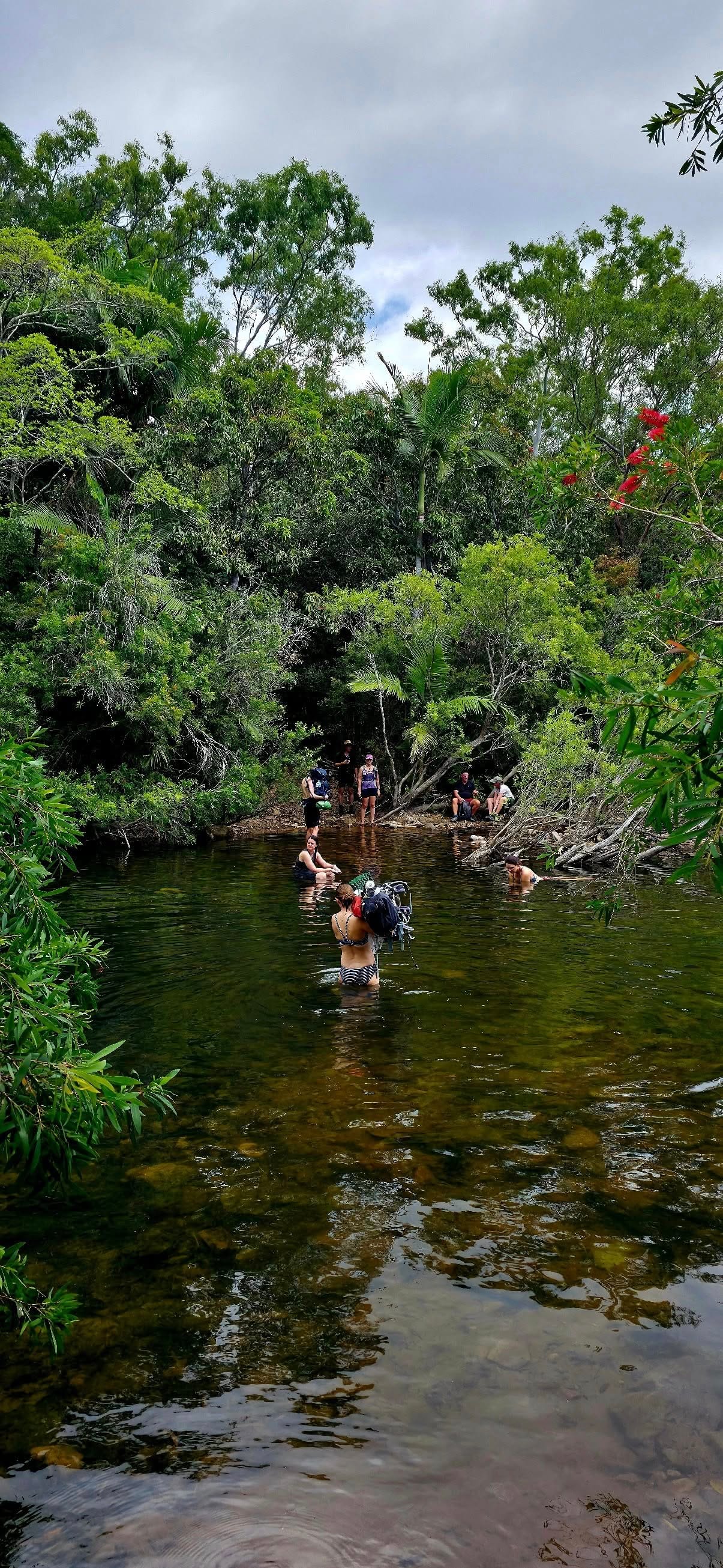 Alligator Creek Falls - Trip Report