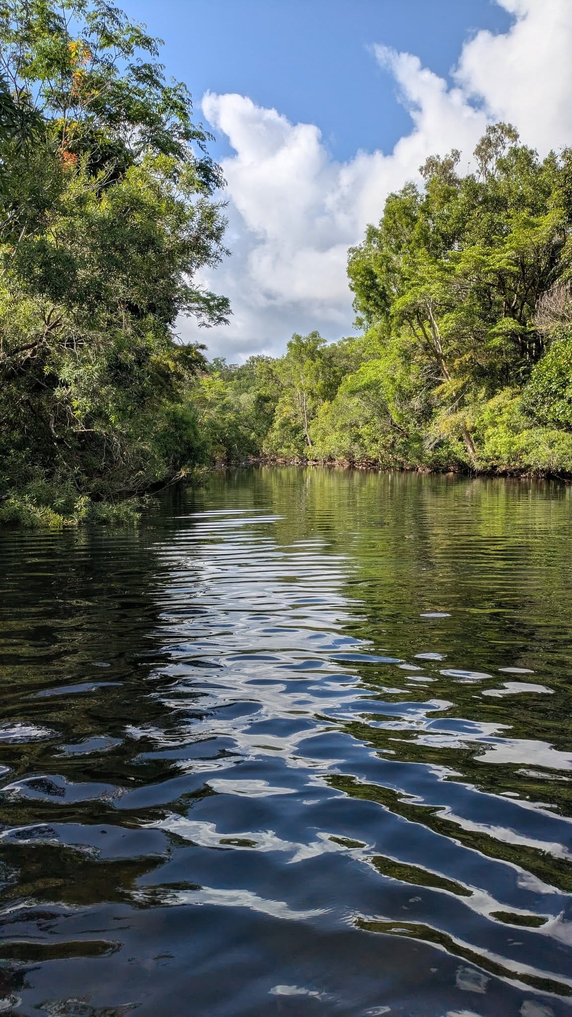Alligator Creek Falls - Trip Report