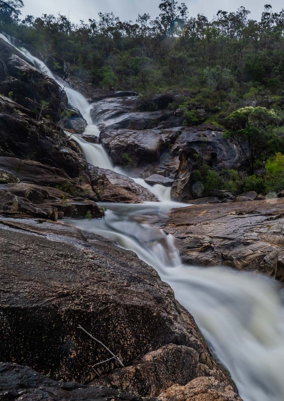 Outdoors in October with the Townsville Bushwalking Club