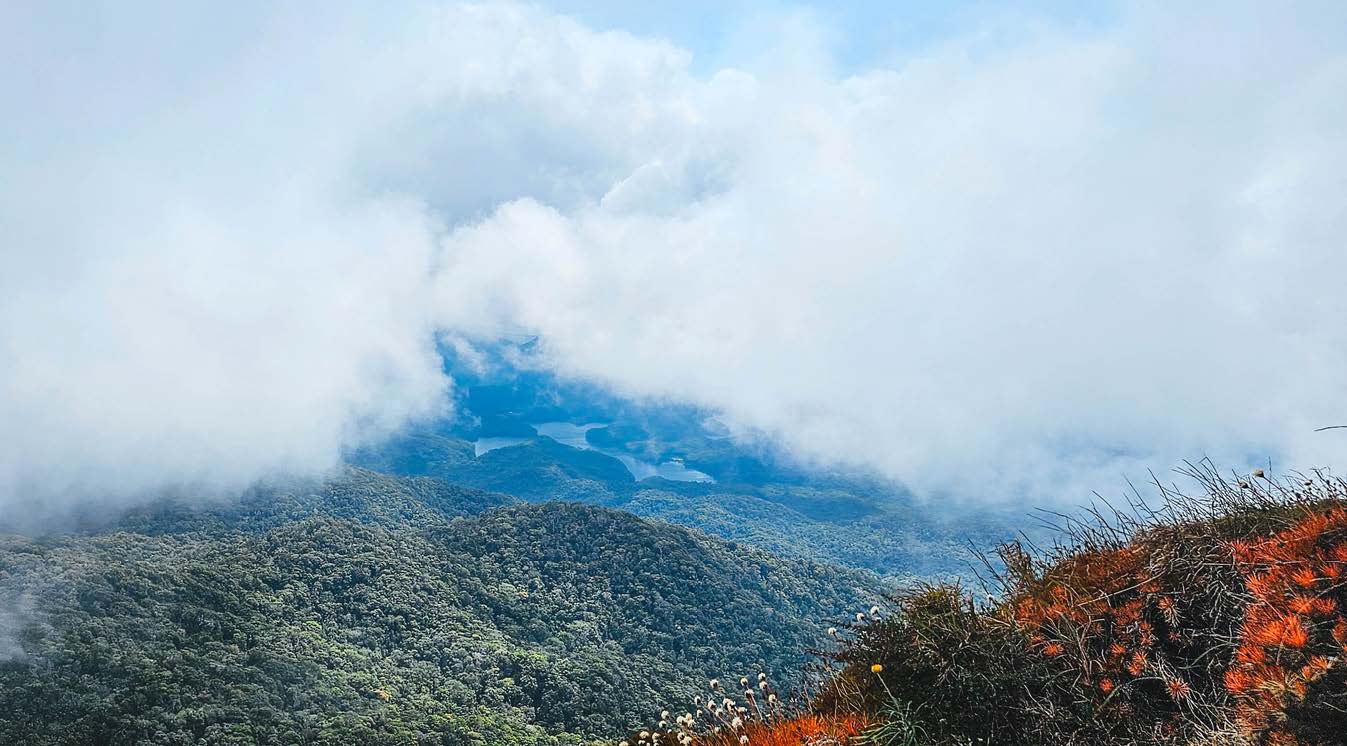 Outdoors in October with the Townsville Bushwalking Club