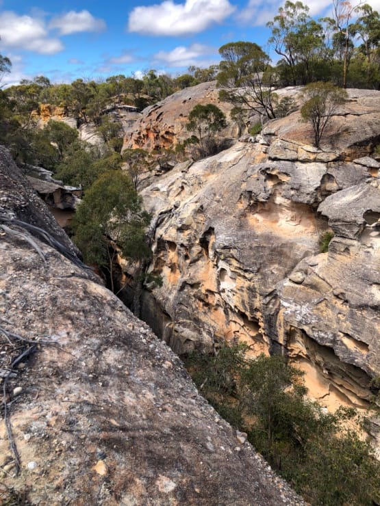 Canns Creek Section (again)