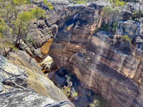 Canyons, flowers and dinosaurs