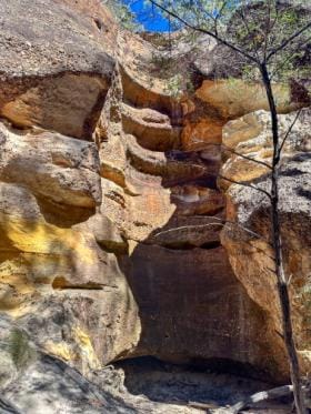 Canyons, flowers and dinosaurs