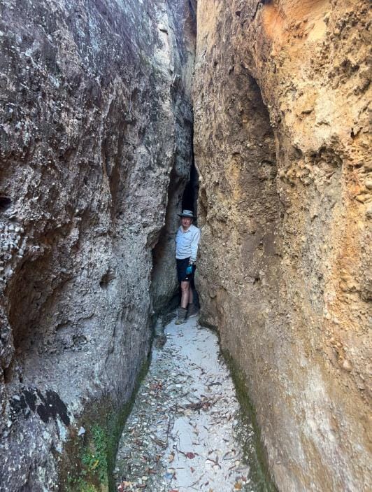 Canyons, flowers and dinosaurs