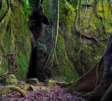 untitled-7283-Pano-Edit.jpg