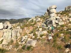 IMG_4763.jpg