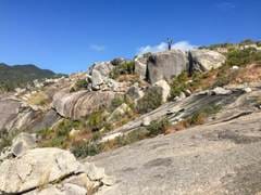 IMG_4774.jpg