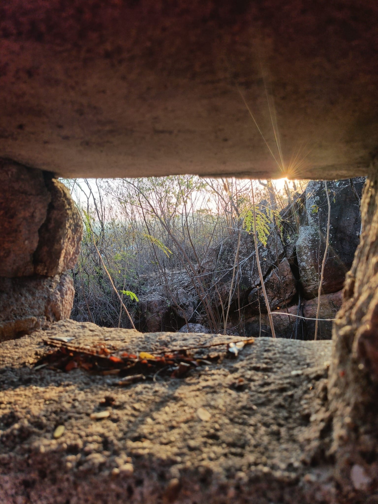Castle Hill WWII relics loop - Trip Report