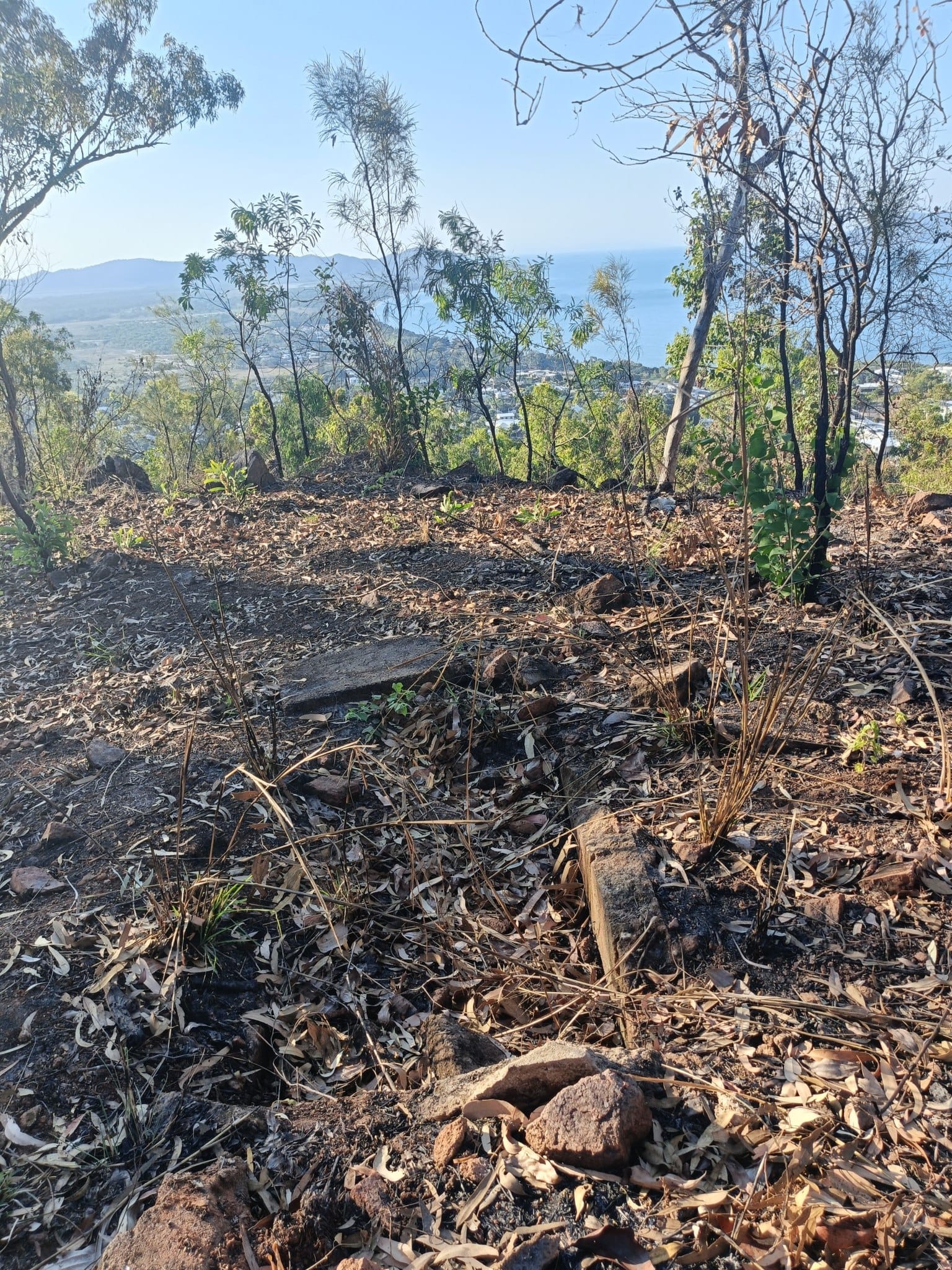 Castle Hill WWII relics loop - Trip Report