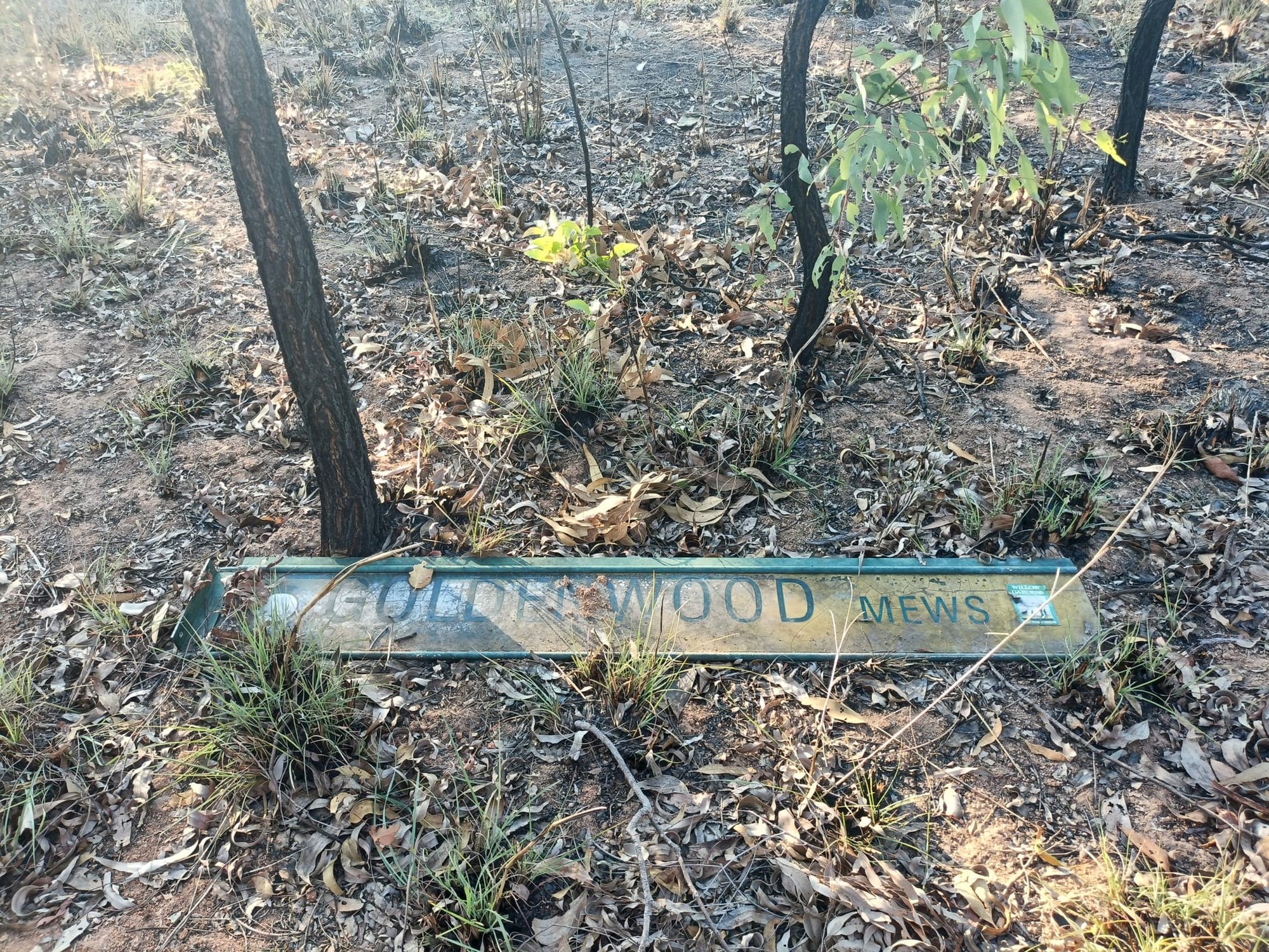 Castle Hill WWII relics loop - Trip Report