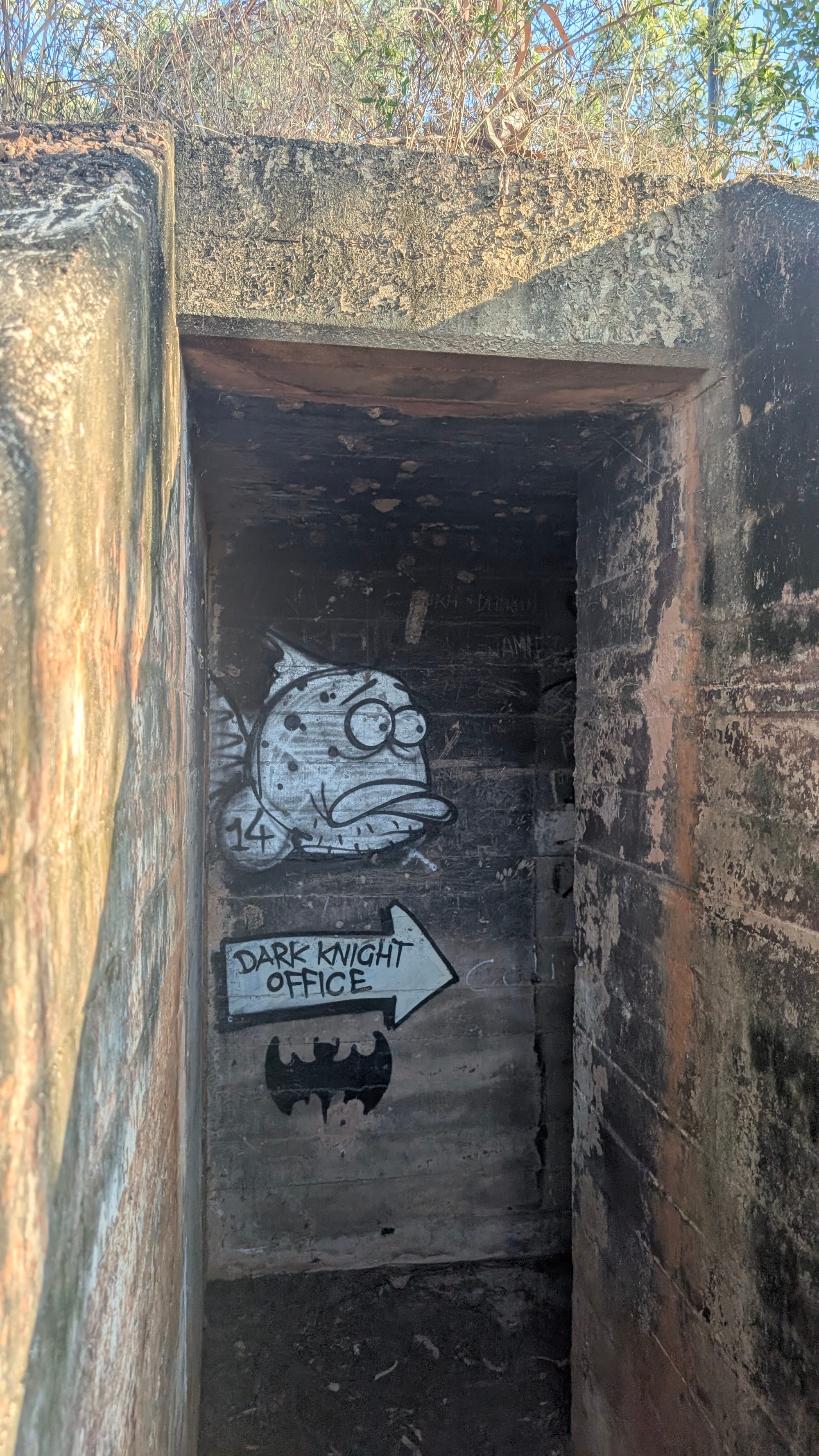 Castle Hill WWII relics loop - Trip Report