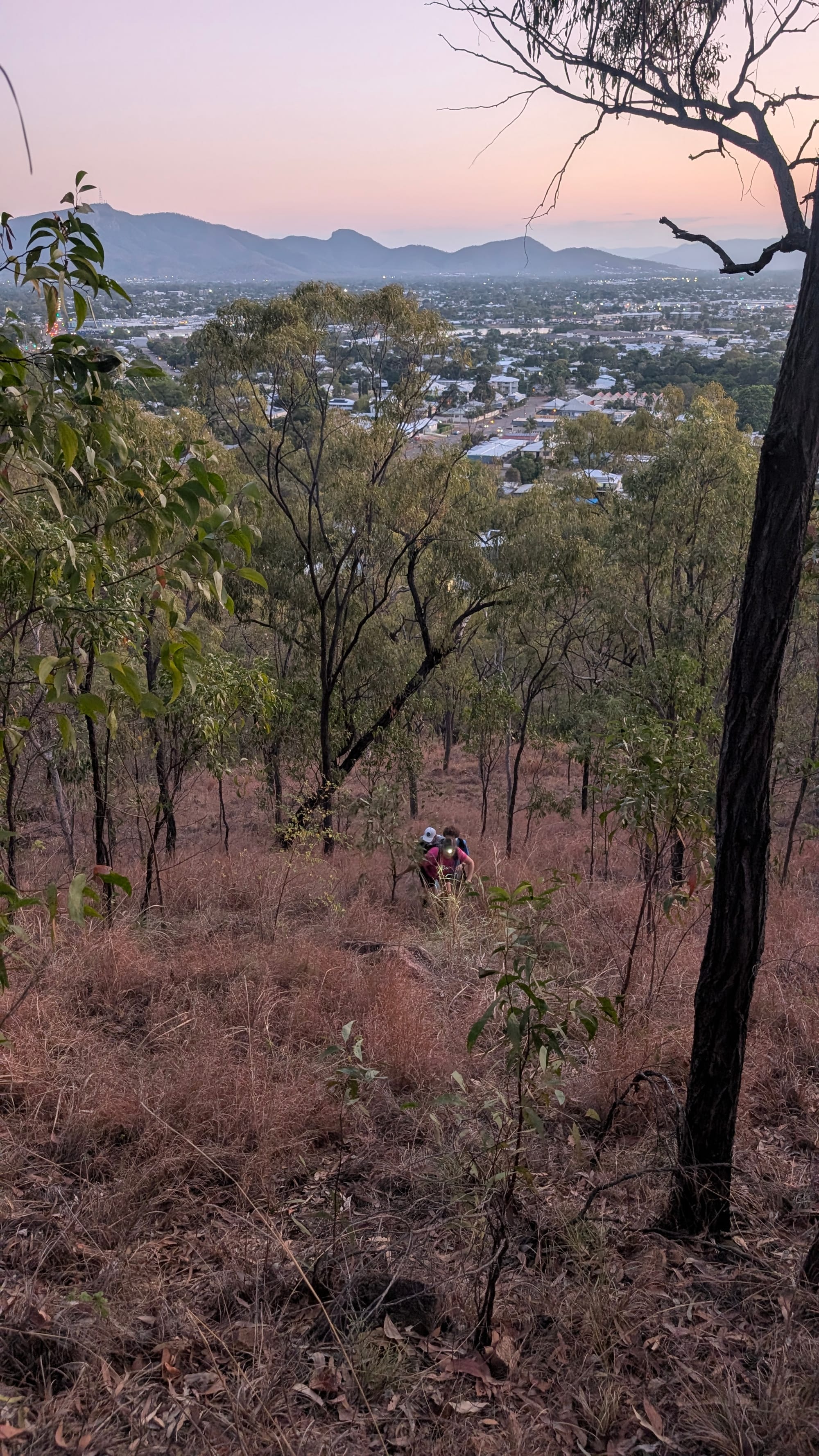Castle Hill WWII relics loop - Trip Report
