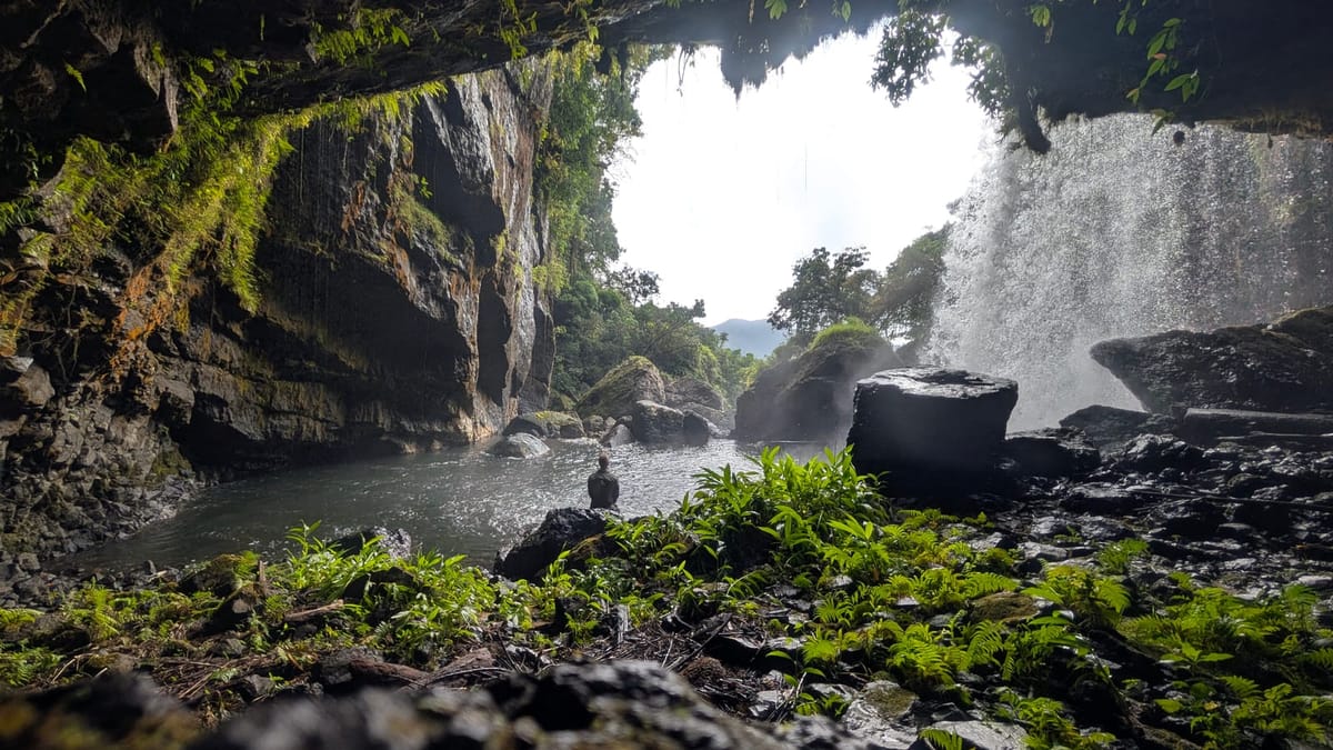 November Newsletter 2025