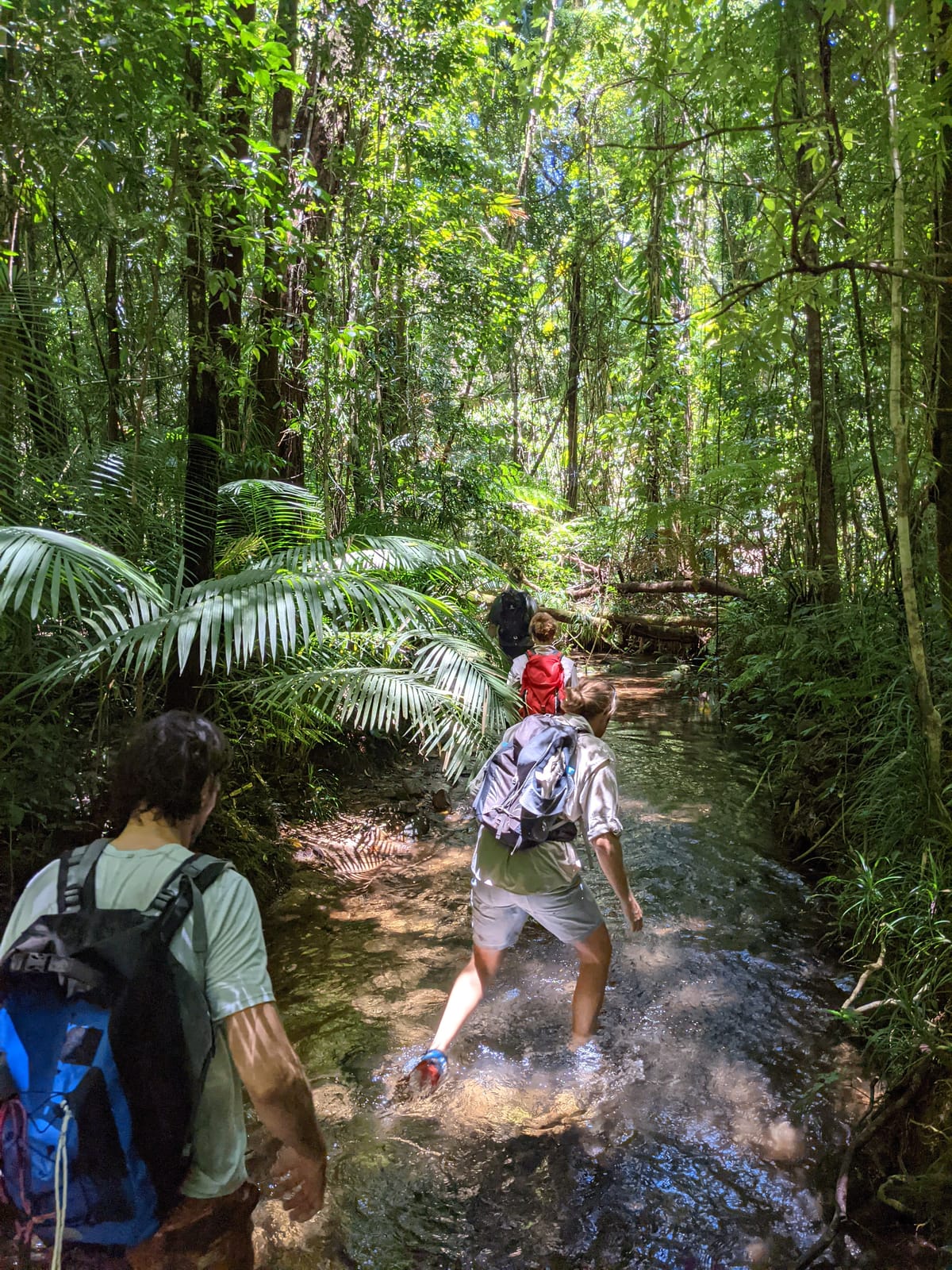 Upper Gold Creek Circuit - Trip Report