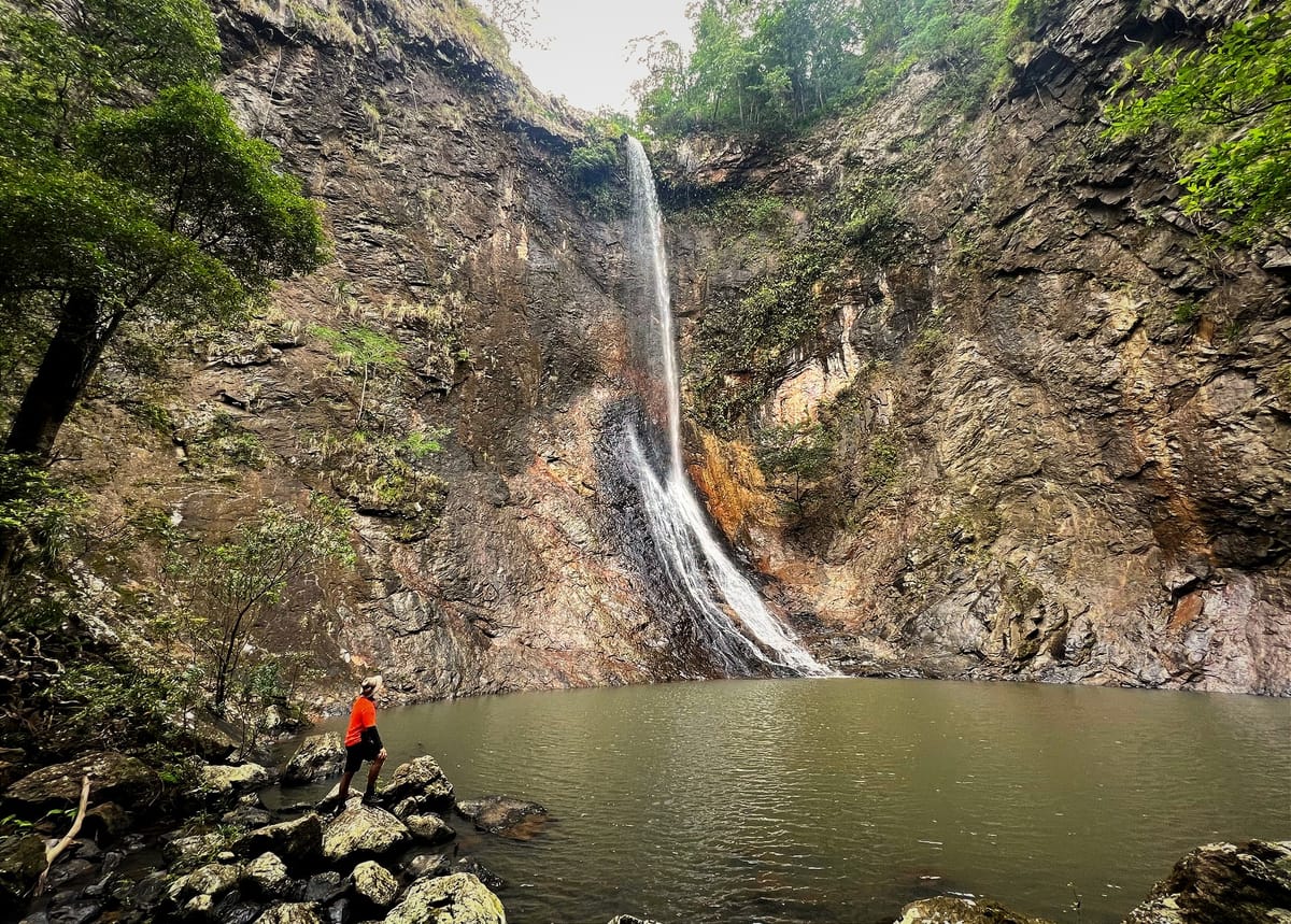 Butterfly Falls weekend - Euphorion, Ornithoptera, and Birdwing Falls - Trip Report