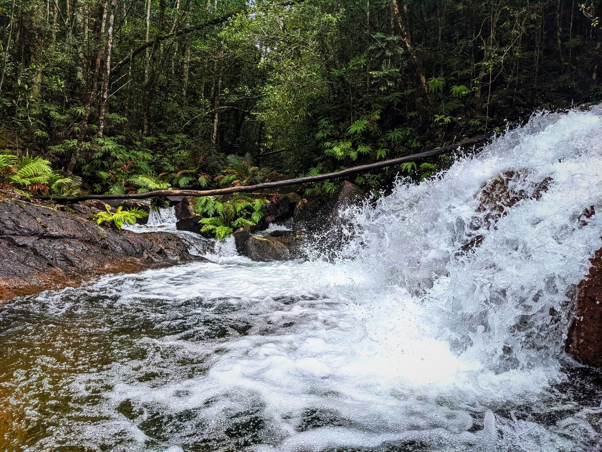 Dolby Creek & Upper Crystal Creek - Trip Report