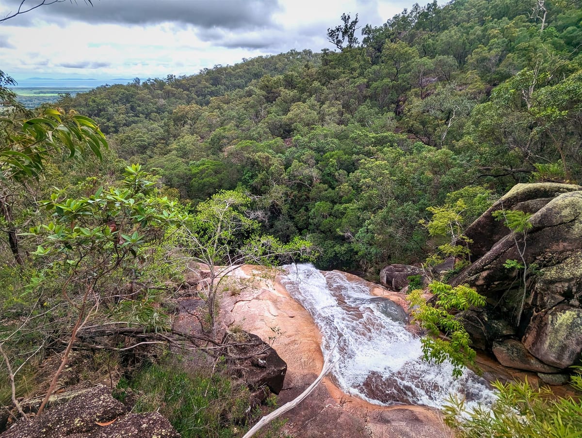 Saddle Creek - Trip Report