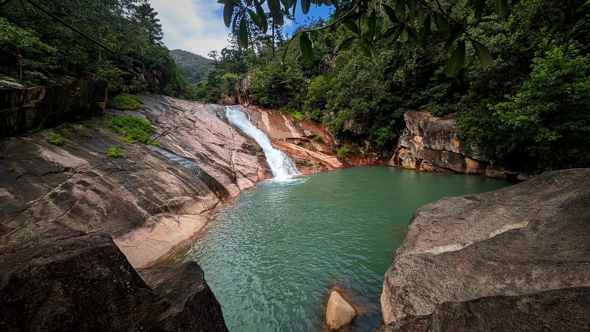 Antill Plains Creek Tributary - Trip Report