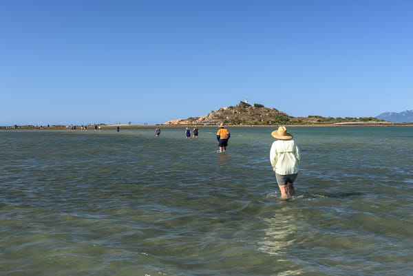 Newsletter – September 2019