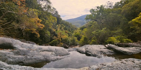 Terraces turns North - Trip Report
