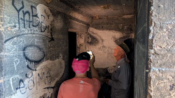 Castle Hill WWII relics loop (Walks 2 and 3) - Trip Report