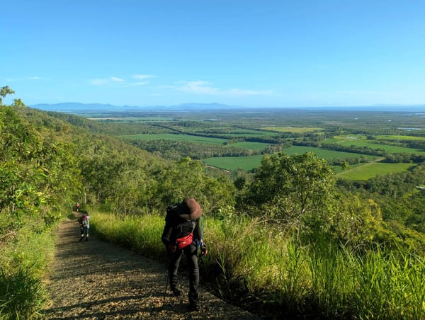 Insulator Creek (Paluma) - Trip report
