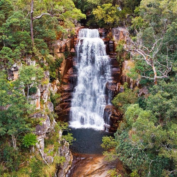 October Newsletter 2025