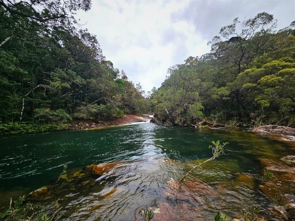 Crystal Creek via Wilfred's Lookout & Torsten's Rock Garden - Trip Report