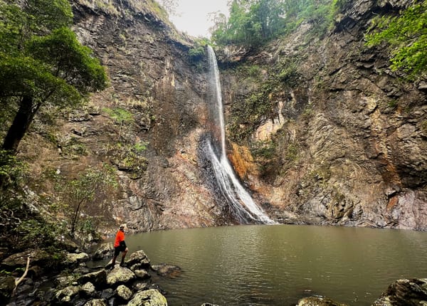 Butterfly Falls weekend - Euphorion, Ornithoptera, and Birdwing Falls - Trip Report