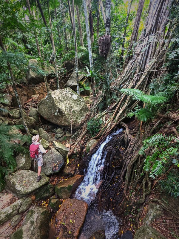 Insulator Creek and Fig Tree Falls - Trail Maintenance