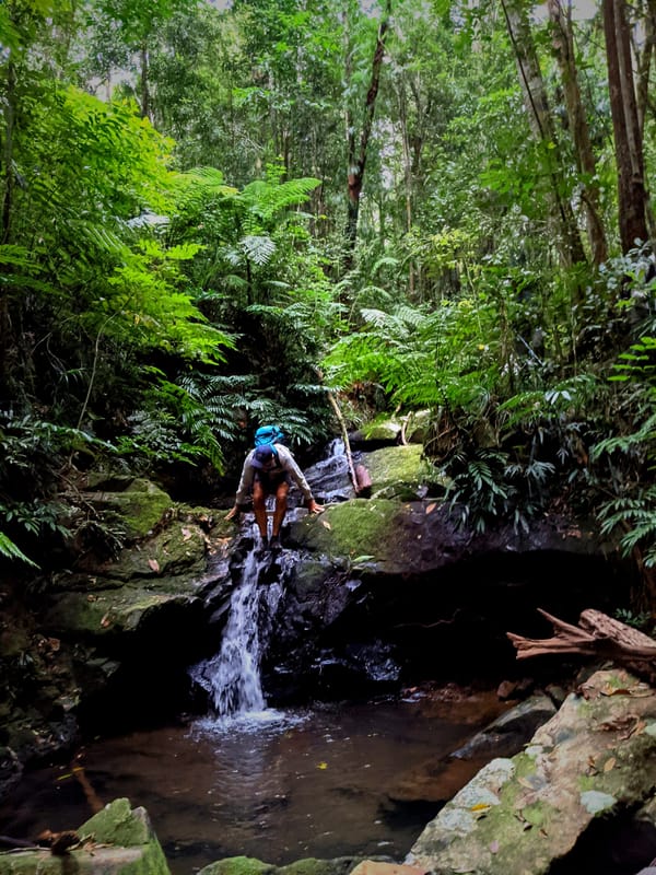 Exploring Echo Creek - Trip Report