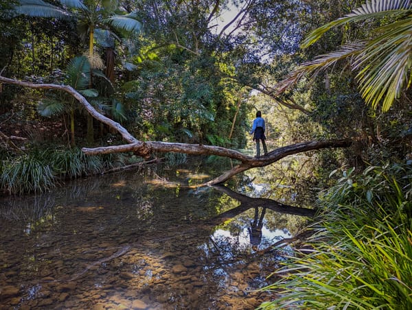 Bluewater Gorge - Trip Report