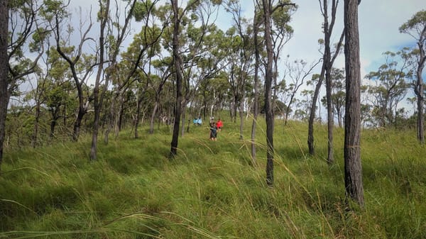 Dick Creek Falls (Stoney Creek tributary), Mt Stuart - Trip Report